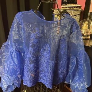 Sheer chiffon blouse